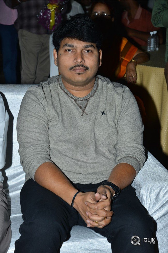 Ammammagarillu-Movie-Pre-Release-Function-Photos